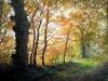 Baubeau G -A la lisiere du soir-52X62-