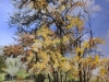 Benoist d Anthenay  - Val Suzon 60 x 60