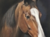 Cheneau -Cesar-70x55