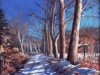 Henry -neige en Normandie 54x54
