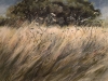 Le Floch - le champ blond -45X63