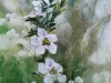Le Guennec -Manuka - V52x H25
