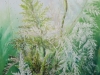 Le Guennec -Ponga et koru -V52 x H25