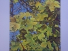 Nadeau - Feuilles et branches -V48XH48