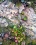 Baubeau M 5-Printemps mineral-62X52 650€