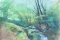Bretin 2-chien au bord du ruisseau - 51 x 71 560€