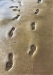 Gouet 4-Traces - 51x41cm 320€