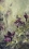 Leguennec 2-Clematites-60x40 575€