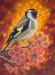 Priest 3- Eclat Elegance - 50x40 630€