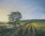 Theunissen 2- Ivresse d'un soir 2 - 50x60 550€